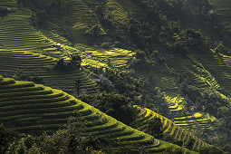 Hory a rýžová políčka severního Vietnamu